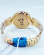 Versace Uhr Uhren Damenuhr VCO100017 PALAZZO Empire Tribute goldfarben